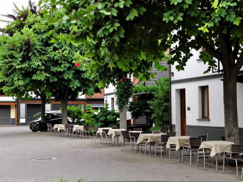 Cammino Lento Viaggi